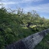 4月のまとめ　（2022-W13〜W17）