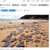 沈没したタンカー「Sanchi」号の燃料の重油か？　鹿児島、奄美大島などの海岸に"油状のもの"が漂着