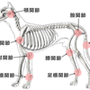 足が腫れる