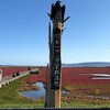 【旅行】北海道の旅58～北海道で一度は訪れたい絶景「日本一サンゴ草群生地（卯原内サンゴ草群落地）」