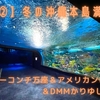 【沖縄②】冬の沖縄本島満喫の旅～インターコンチ万座ステイ＆アメリカンビレッジ＆DMMかりゆし水族館～