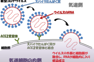 正を立てて国を安んずる