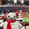 特等席からバスケ観戦！Bリーグの迫力にペンギンも大興奮だ(バスケ観戦その2)(146)