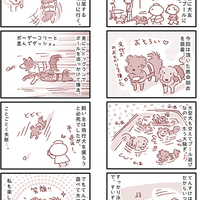 【犬マンガ】ドッグランと犬用プールで遊んだ休日（写真多め）