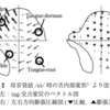 母音/i/における横舌筋作用の有限要素法を用いた検討