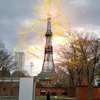 【観光部】＜札幌市＞テレビ塔✕AR写真！「さっぽろランタンナイト2022」の「Message Tree」に参加してきました。