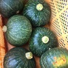 かぼちゃは 努力と根性が必要です★