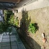 植木屋手伝い