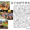 2025年8月22日 スイカができたぞ！