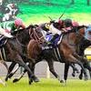 競馬初心者必見☆馬券予想🔥〜ヴィクトリアマイル〜購入馬券大公開㊙︎