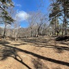 続百名城　要害山城 (128・山梨県甲府市) 2/2 -武田信玄出生の地を二か所回る