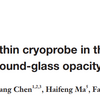 末梢肺GGO診断に対するUltrathin cryoprobe