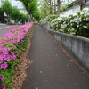 今季も福岡大大濠高校出身者を応援します　【３】【４】