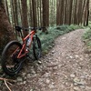 530MTB朝練、夕方スイム