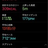 碑