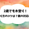 ２歳でも木登り！登り方のコツは？親の対応は？