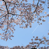はじまりそう