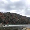 (Kyoto-101/Arashiyama)日本美味しいもの巡り Japan delicious food and wine tour
