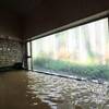 倉渕川浦温泉【はまゆう山荘】日帰り入浴記「群馬ではここだけの含鉄泉」