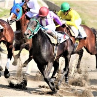 競走馬名 面白い名前 変わった名前 第2弾 搾りたて生アキロッソ 競走馬名 面白い名前 変わった名前 第2弾 搾りたて生アキロッソ
