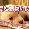 動物には心はあるのか、ないのか