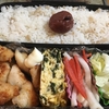 今日のお弁当(1/13)