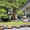 上高地旅行記12（飛騨大鍾乳洞）