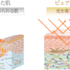 ルナメア　スキンケア