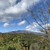 晩秋の北軽井沢、軽井沢周辺はGo Toで激混み・・・紅葉は・・・