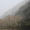 ある雪降る休日