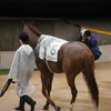 競馬の記憶、ある詩人の回想する第1回日本ダービーのこと
