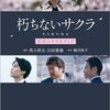 杉咲花と安田顕のドアップ対決！はいいけど、警察とマスコミの関係に違和感がありすぎて腑に落ちない『朽ちないサクラ』