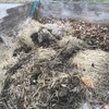 堆肥作りも楽しいですよ？