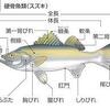 食物からの時代考