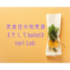 《special essay》2025年のはじまり　special big news!!【なりさらblog】