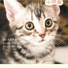 グーグーだって猫である　小説版　犬童一心