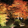 江戸東京たてもの園 紅葉とたてもののライトアップ その２