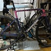 2024年46週　レスト週