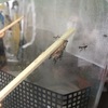 嬉しいお知らせ