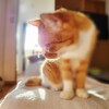 備忘録的にブログを更新してみる秋