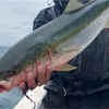 1年と8ヶ月ぶり…