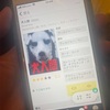 2025/03/04：大寝坊！あるいはわたしがなりたいおばはんについて
