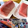 市場で長崎産本鮪を仕入れねば！