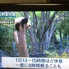 パンダ