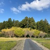 青空の散歩は気持ちいい♫