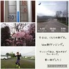 2019年5月8日（水）【エゾリスの朝ごはん＆桜、絶賛開花中！の巻】