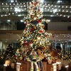 たまプラーザテラスゲートプラザの2016クリスマスツリー