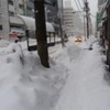 50年ぶりの大雪と言われると、つい外に出てしまう