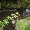 5月の風。