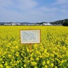 妙見山古墳～脇の菜の花畑～星浦海岸